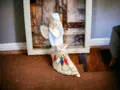 Aniołek Loretta - biały -  15 cm figurka dekoracyjna gipsowa