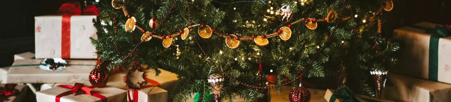 Choinka świąteczna a symbolika drzewa