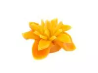 Lilia pomarańczowa -  świeca ozdobna