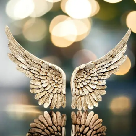 Wings of Angel