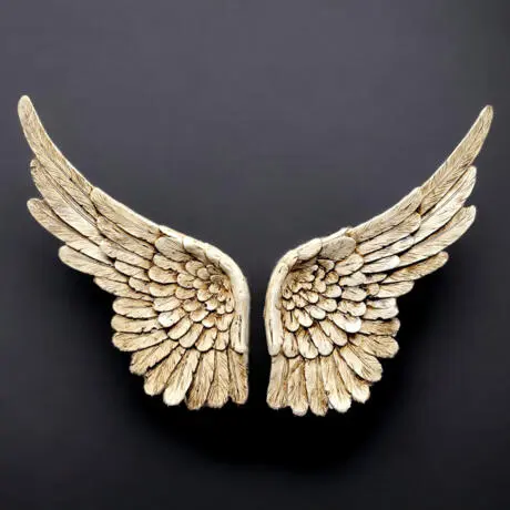 Wings of Angel